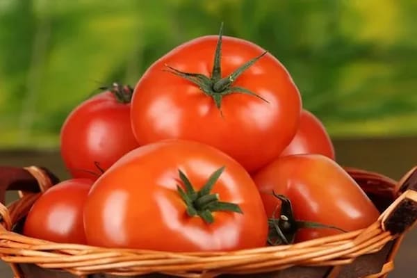 تصویر 6 از خرید خیار سبز گلخانه ای  + قیمت فروش استثنایی
